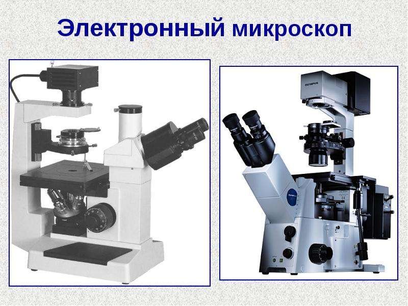 Электронный микроскоп слайд