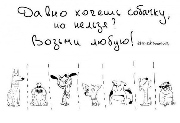 Весёлые объявления для поднятия настроения