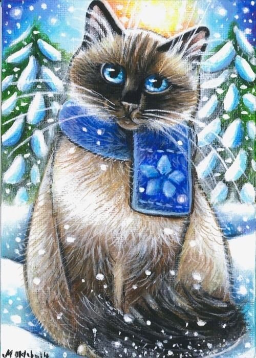 Зимние коты