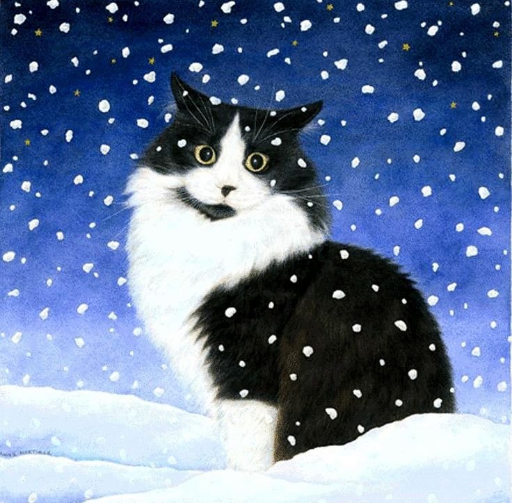 Коты иллюстрации