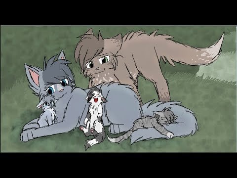 Коты Воители синяя звезда и Дроздовик