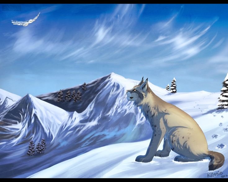 WILDCRAFT Рысь