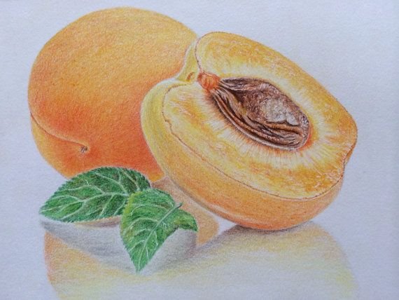 Фрукты цветными карандашами