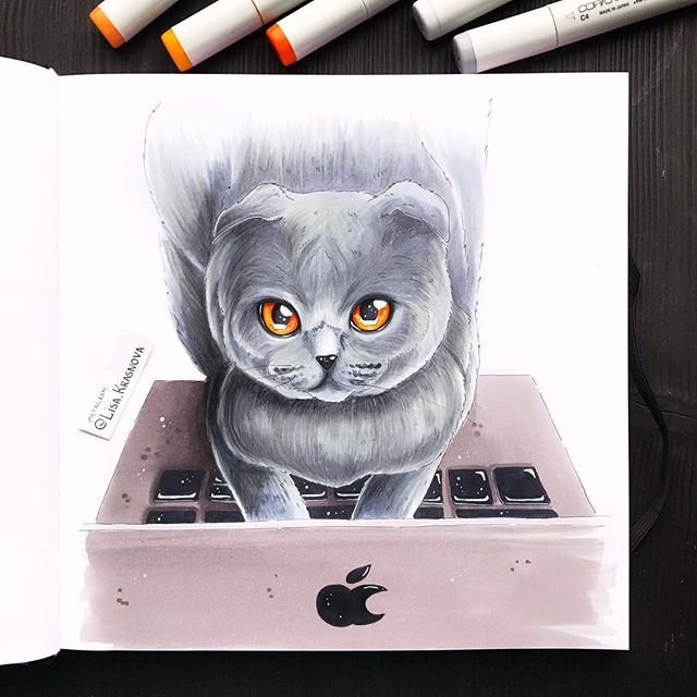 Кот маркерами