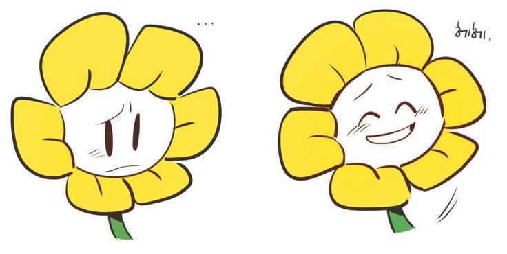 Лепестки Флауи