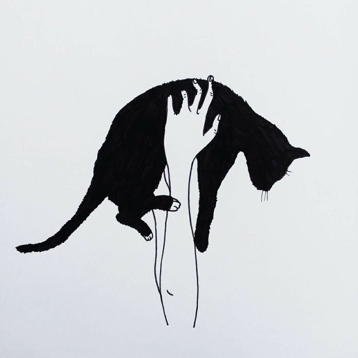 Кот черный