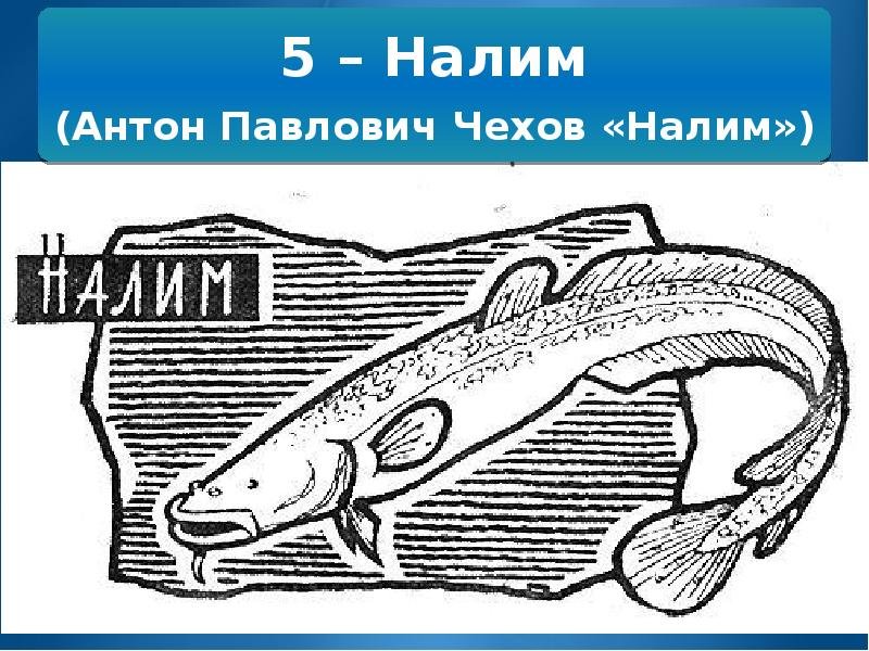 Чехов налим иллюстрации