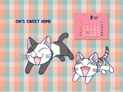 Аниме котик Чии