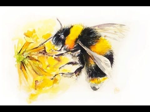 Картина Шмель
