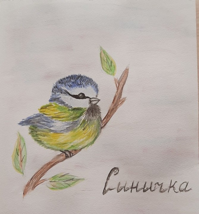 Рисунок на день синички