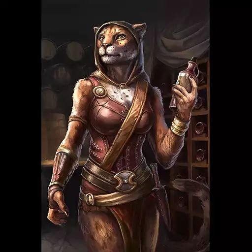 The Elder Scrolls каджитка