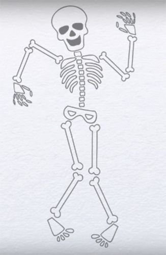 Скелет рисунок