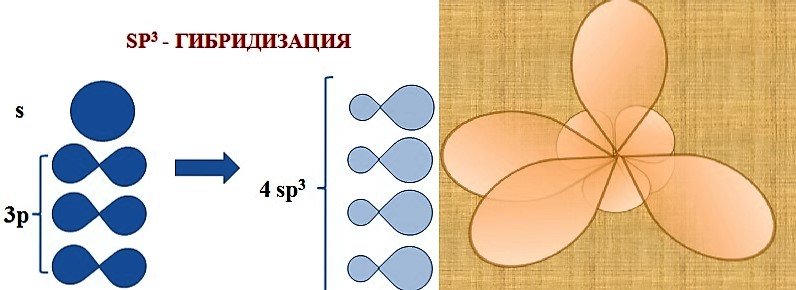 Sp2 гибридизация форма