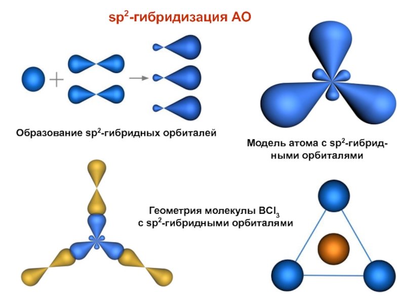 Гибридизация орбиталей (SP-, sp2 -, sp3 -)