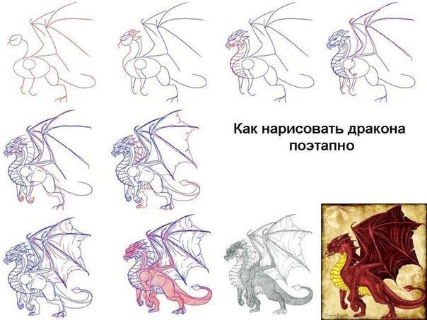 Поэтапный рисунок дракона