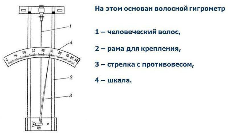 Гигрометр устройство и принцип работы