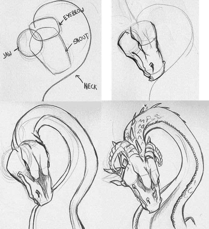 Поэтапный рисунок дракона