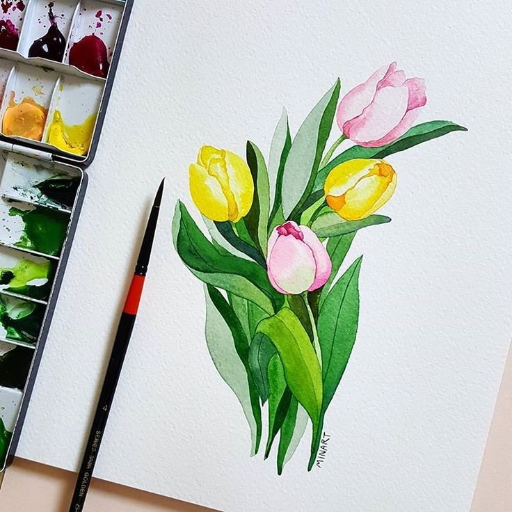Тюльпаны рисунок акварелью