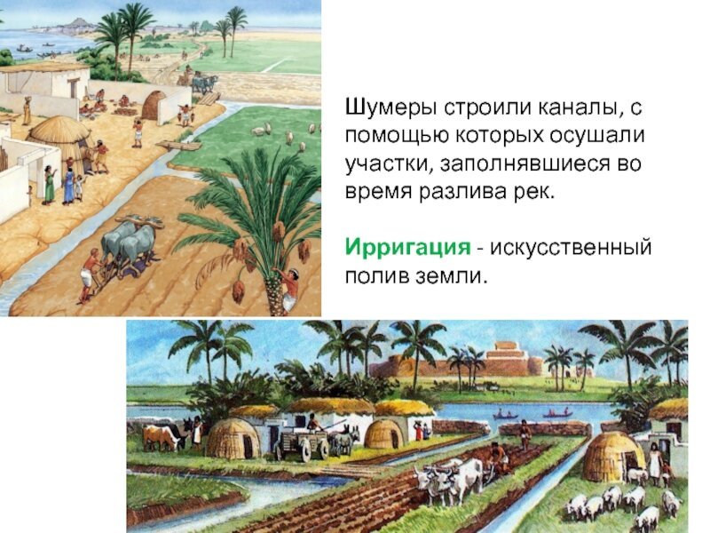 Ирригационное хозяйство древний Египет