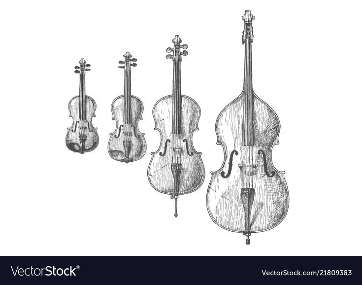 Струнные смычковые инструменты скрипка Альт