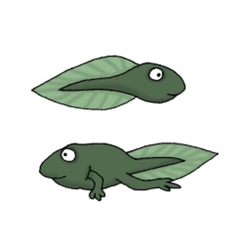Головастик рисунок