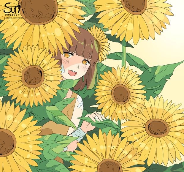 Sun Project