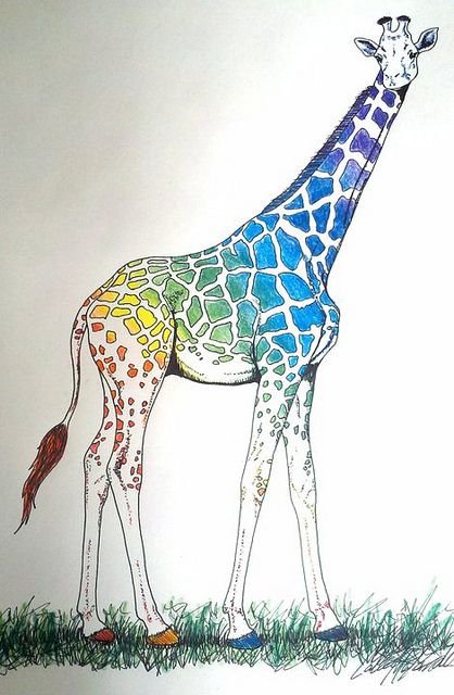 Рисунок жирафа карандашом