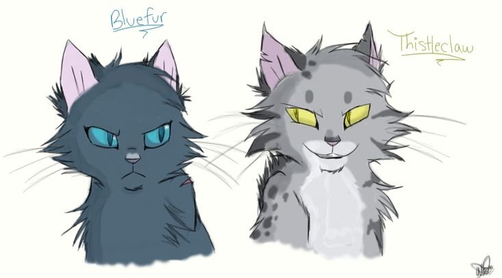 Thistleclaw коты Воители