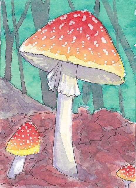 Мухомор рисунок