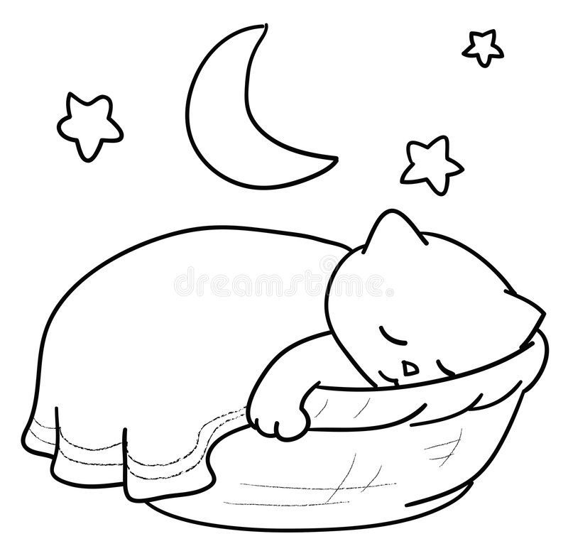 Раскраска спящий котенок