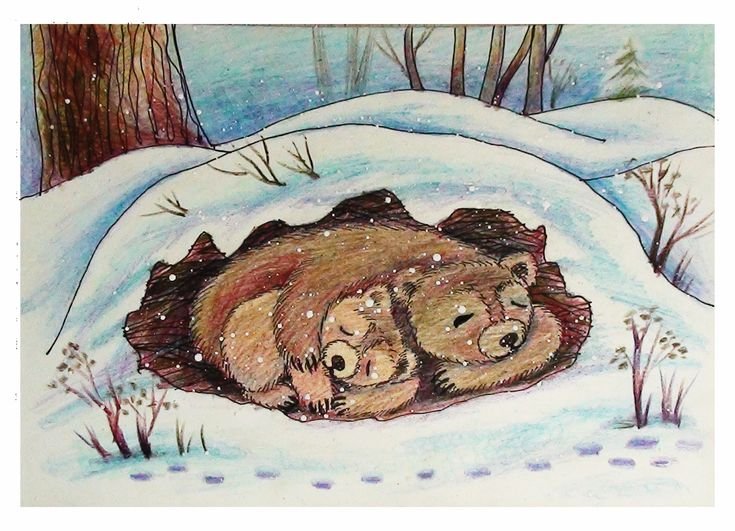 Спящий медведь в берлоге