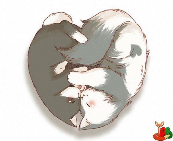 Милые котики аниме