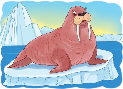 Морж для дошкольников