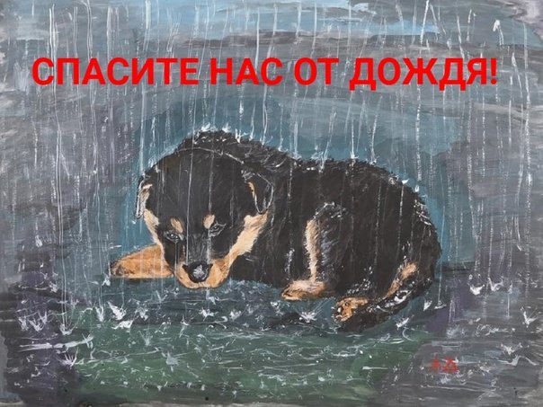 Щенок под дождем
