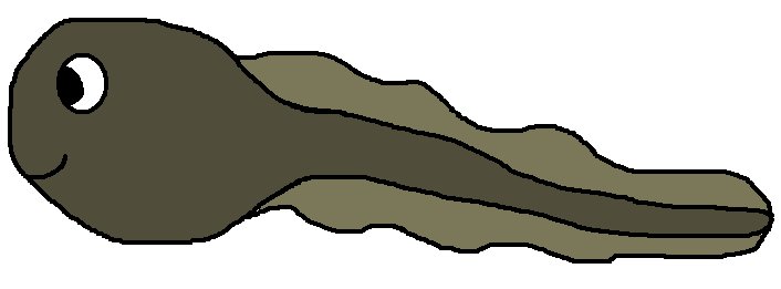 Головастик нарисовать