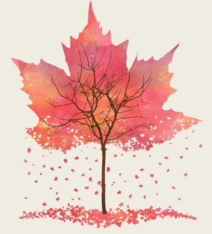 Листья рисунок