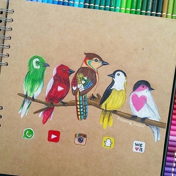 Идеи для рисунков птичек