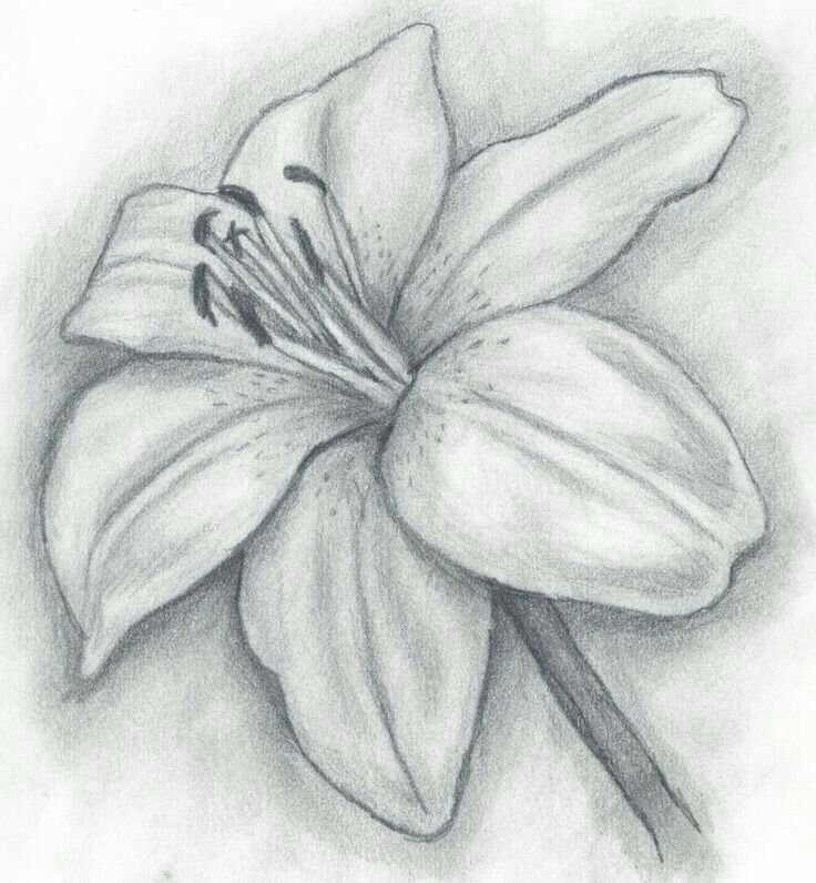 Красивые рисунки карандашом