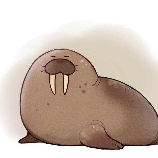Морж