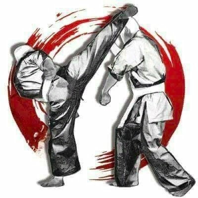Каратист вектор