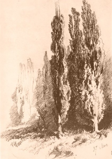 Кипарис
