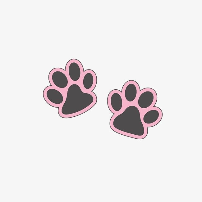 Милая кошачья лапка