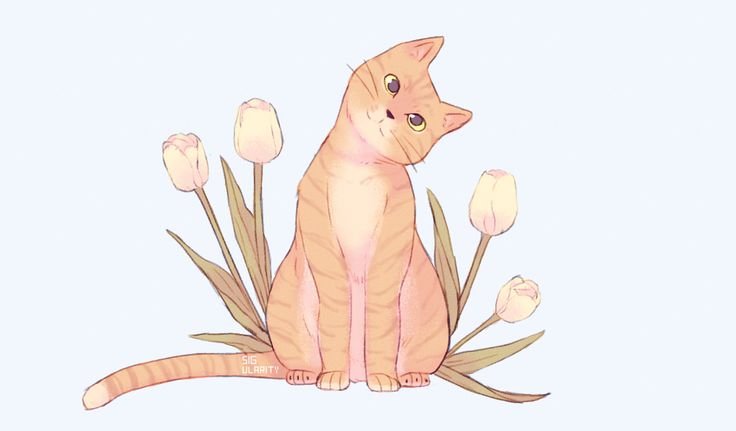 Кошка для срисовки