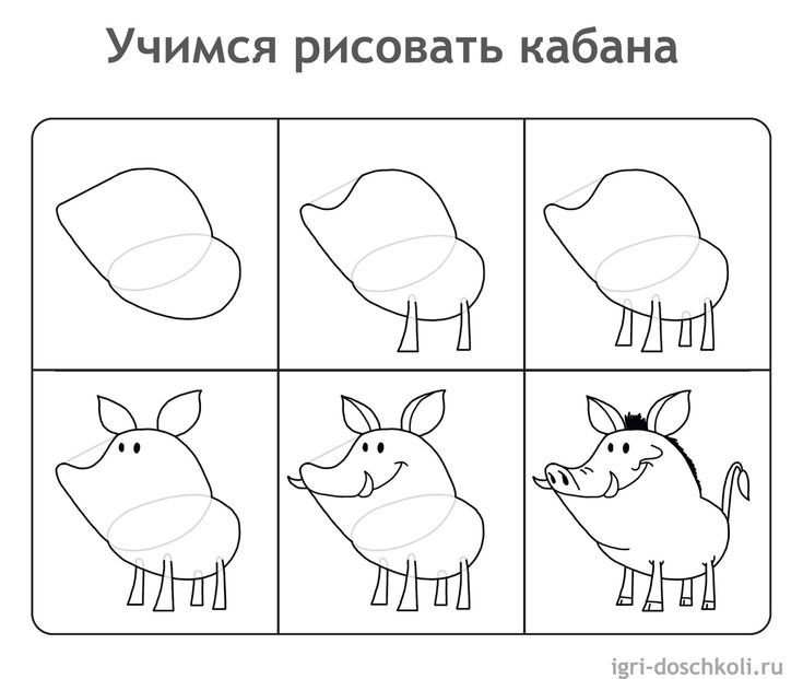 Кабан рисунок для детей поэтапно