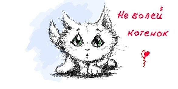 Котик не болей