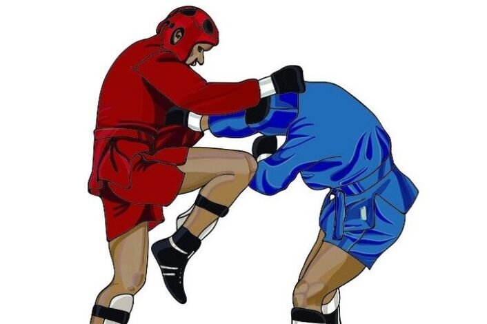 Самбо иллюстрация