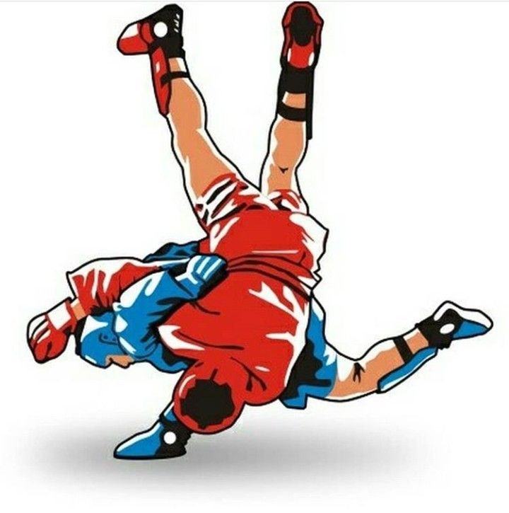 Боевое самбо