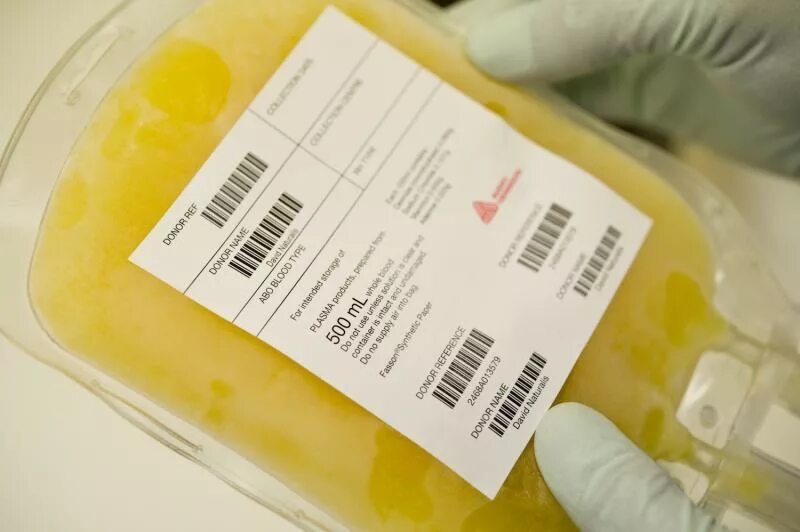 Плазма и плазма крови
