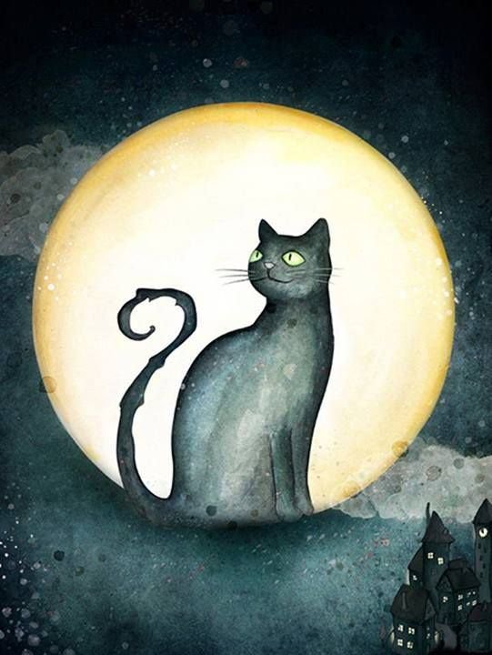 Кот на Луне
