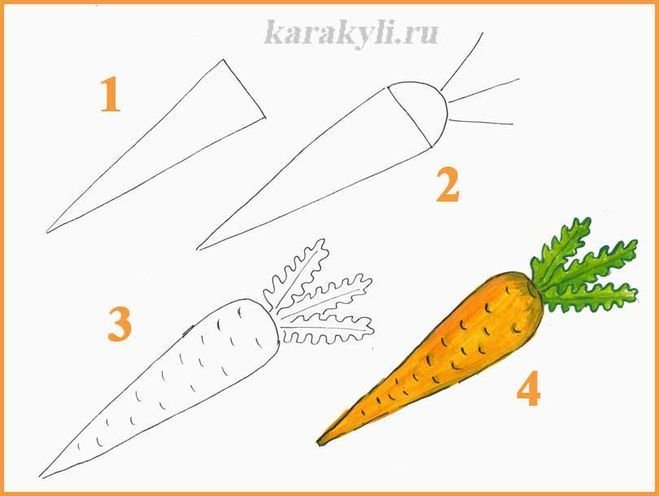Поэтапное рисование моркови